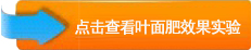 效果實驗